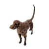 Front view of Antique Brass Finish Metal Dog Sculptures